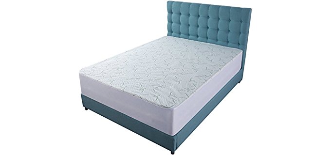 The Best Bed Bug Mattress Covers - Mattress Obsessions