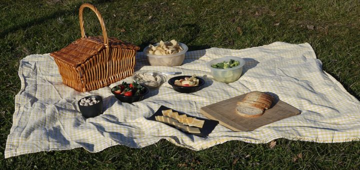 Best Picnic Blanket