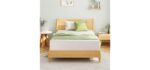 EGOHOME Full Size Memory Foam Mattress 8 Inch, Green Tea, Medium Firm