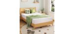 EGOHOME Twin Mattress 12 Inch, Green Tea Memory Foam Mattress, Medium Firm