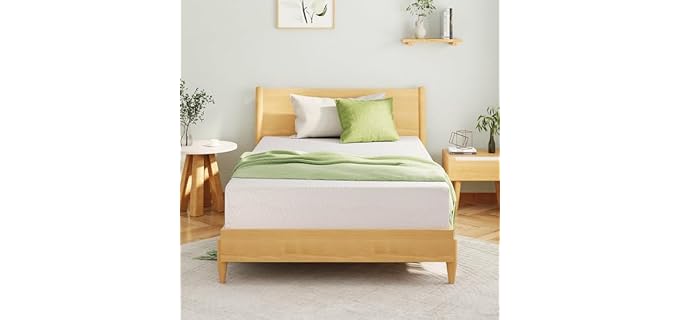 EGOHOME Full Size Memory Foam Mattress 8 Inch, Green Tea, Medium Firm