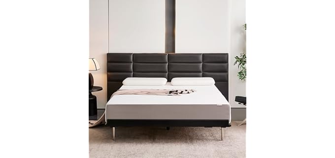 Amazon Basics Soft Plush 10-Inch Soft Plush Memory Foam Mattress
