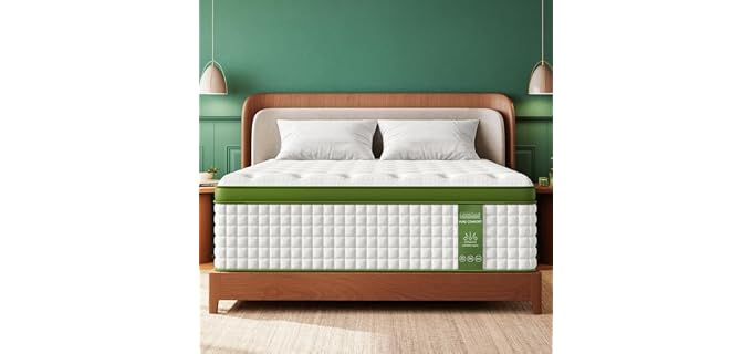 BedStory Hybrid 14-Inch