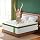 BedStory Hybrid 14-Inch