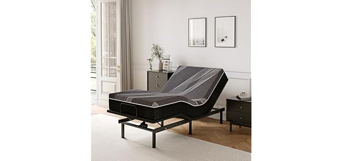 Dyonery Adjustable Bed with Mattress