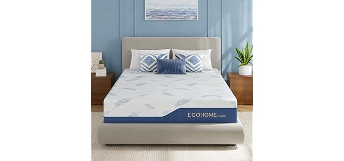 EGOHOME Plush 12-Inch Plush Gel Memory Foam Mattress