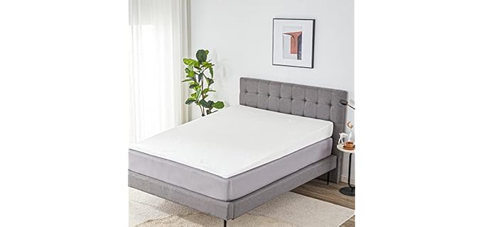 Lazyzizi Mattress Elevator