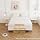 Maenizi Box Spring 9-Inch