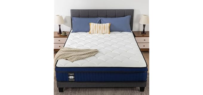 PAMYO Plush 12-Inch Soft Pillow Top Hybrid Mattress