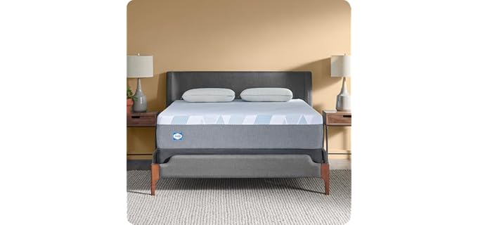 Sealy Dreamlife 12-Inch Foam Mattress
